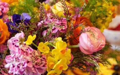 Aufstellungs-Donnerstag Januar