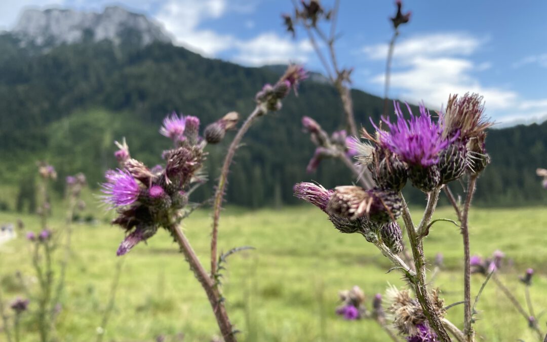 Einweihungswege:  Der Reiche und der Arme, Der Teufel