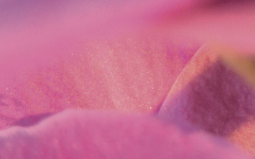 FreeClass Essenzielle integrative Therapie 