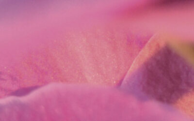 FreeClass Essenzielle integrative Therapie