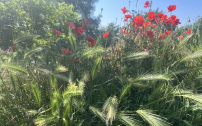 Aufstellungszeit – Ich und Du