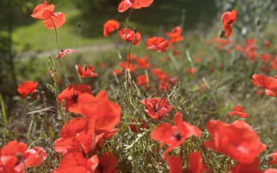 Dein Name hat eine Bedeutung