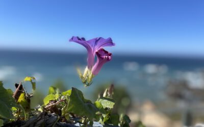 Supervision September 2025