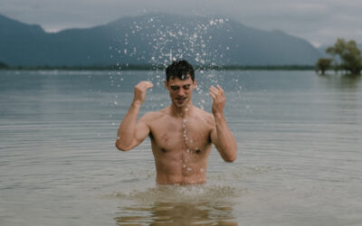 Die Aufstellungs-Quintessenzen 2026