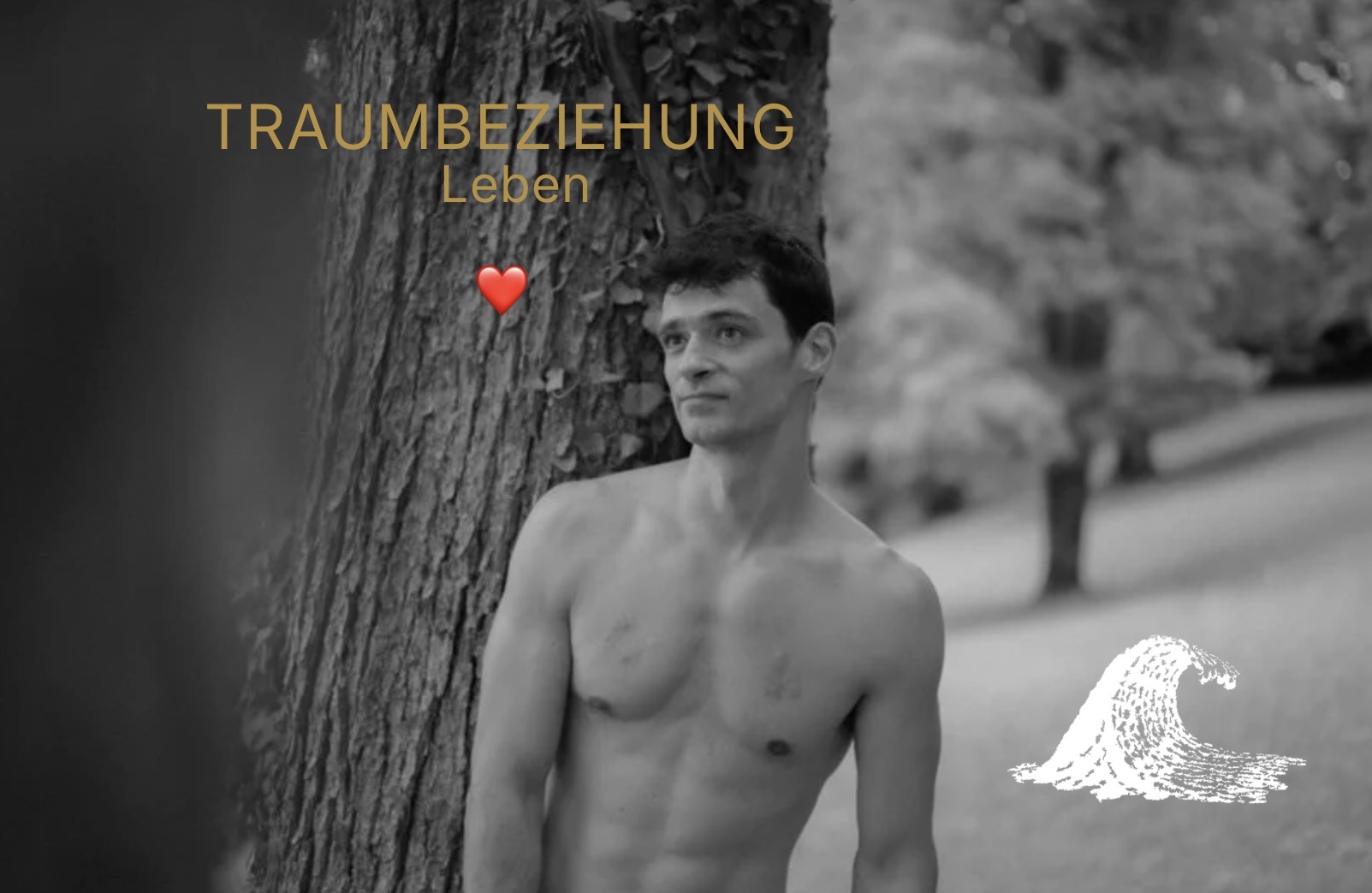 Deine Traumbeziehung