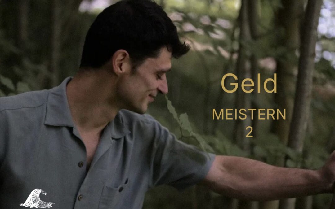 Geld Meistern 2 Webinar