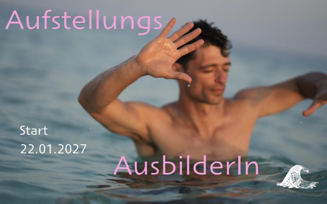 Aufstellungs AusbilderIn The One