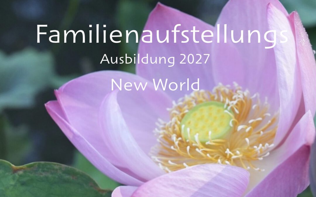 Familienaufstellung Ausbildung 2027 New World