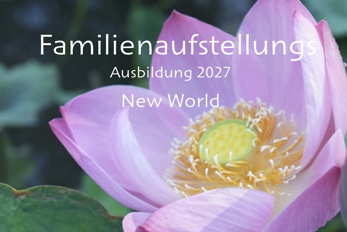 Familienaufstellung Ausbildung 2027 New World